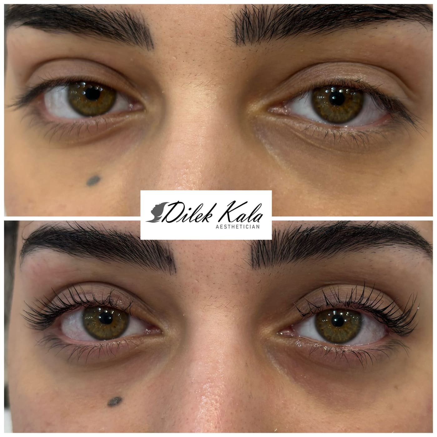 LVL Lashes