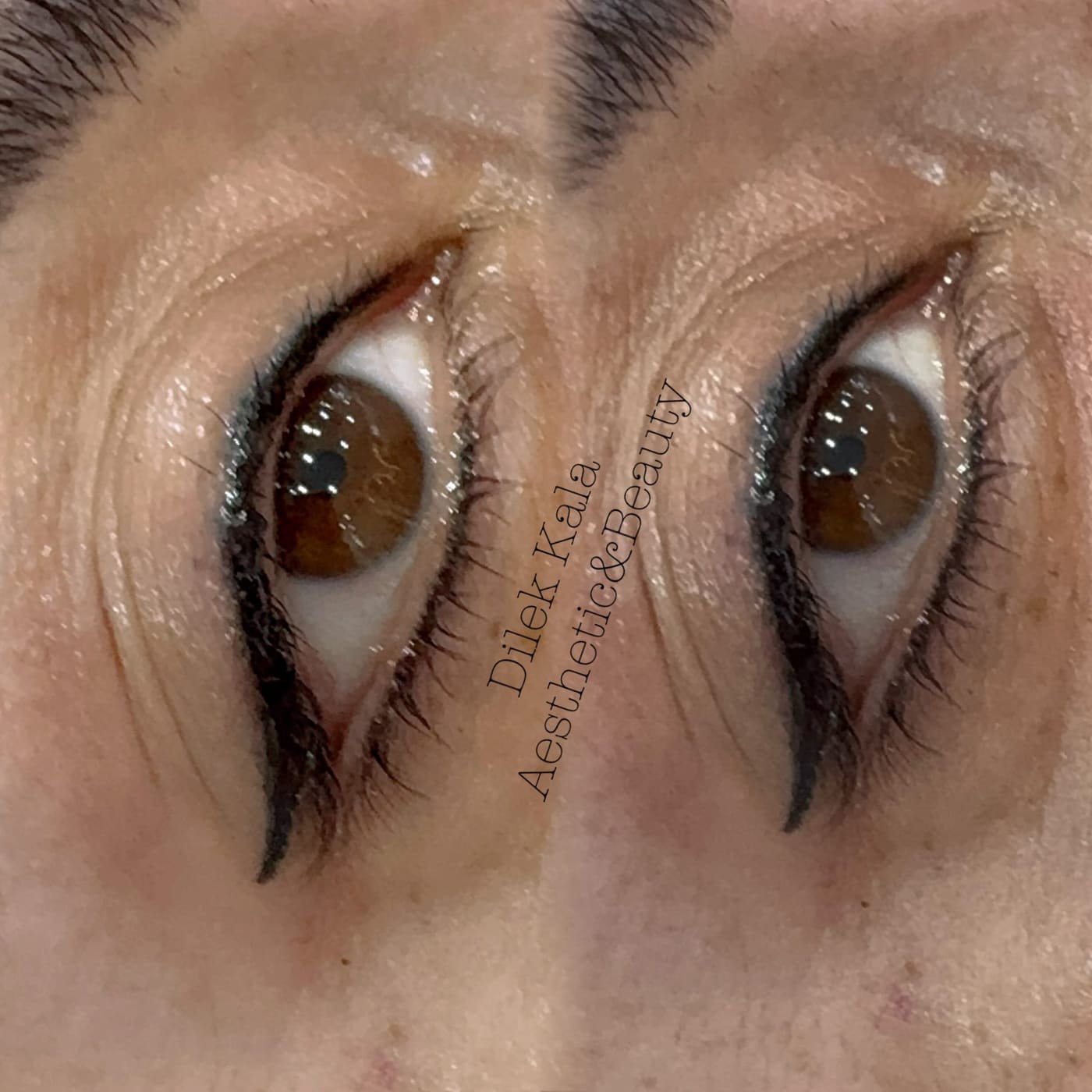 Microblading & Permanent Makeup before and after result 1